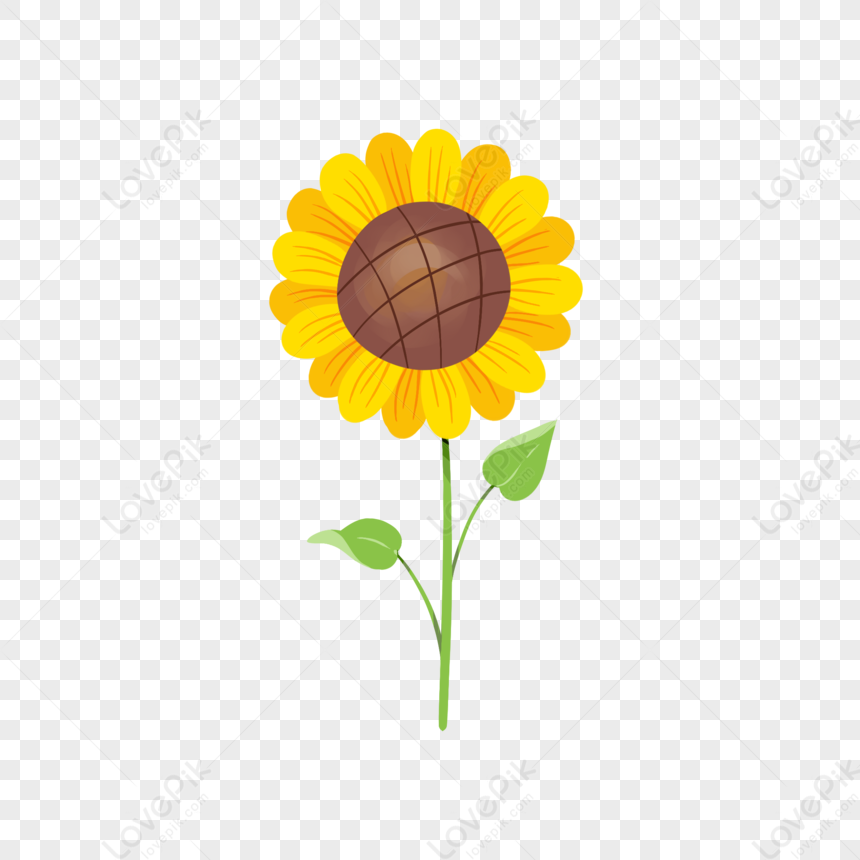 Sunflower Pattern, Withered Flowers, Simple, Plant PNG Free Download ...