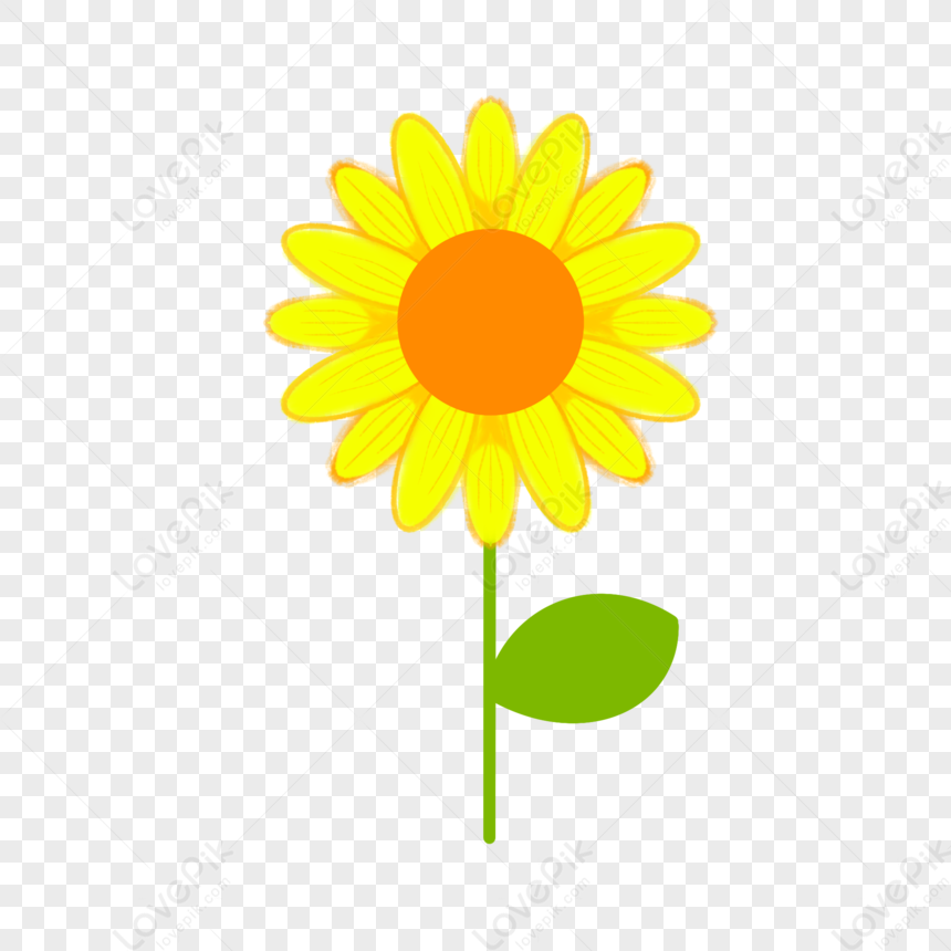 Sunflower With A Leaf, Ellipse, Sunflower Leaves, Simple Png 