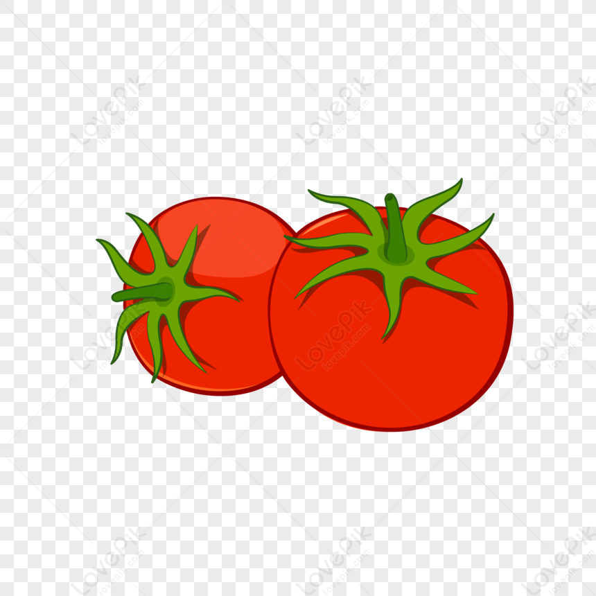 Tomato PNG Picture And Clipart Image For Free Download - Lovepik ...
