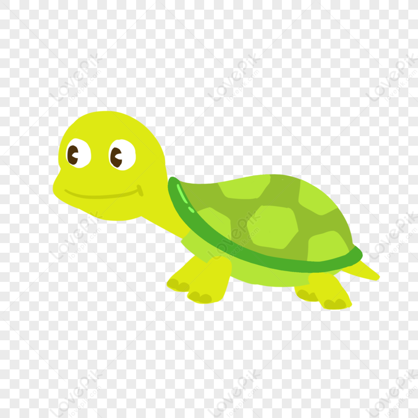 Tortoise PNG White Transparent And Clipart Image For Free Download -  Lovepik | 401529112
