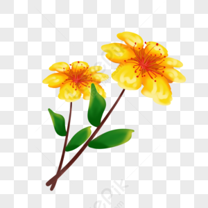 Yellow Flower PNG Images With Transparent Background | Free Download On  Lovepik