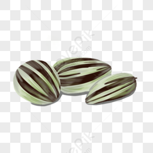 Melon Seeds PNG Images With Transparent Background | Free Download On  Lovepik