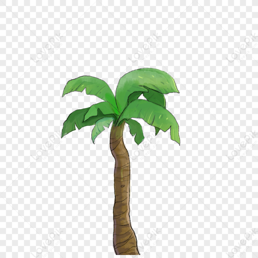 Coconut Tree, Tree, Coconut Tree Material, Coconut Tree Picture Free ...