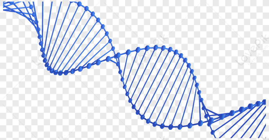 Двойная спираль ДНК изображение_Фото номер 401584596_PNG Формат изображения_ru.lovepik.com