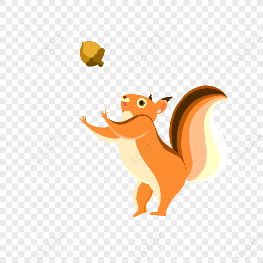Red Squirrel PNG Image And Clipart Image For Free Download - Lovepik |  401592448