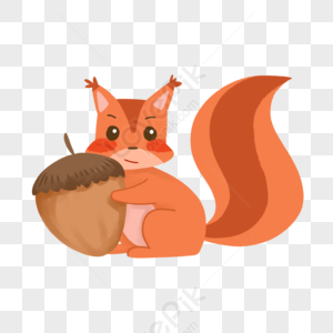 Squirrel Animal Cartoon Squirrel PNG Image Free Download And Clipart ...