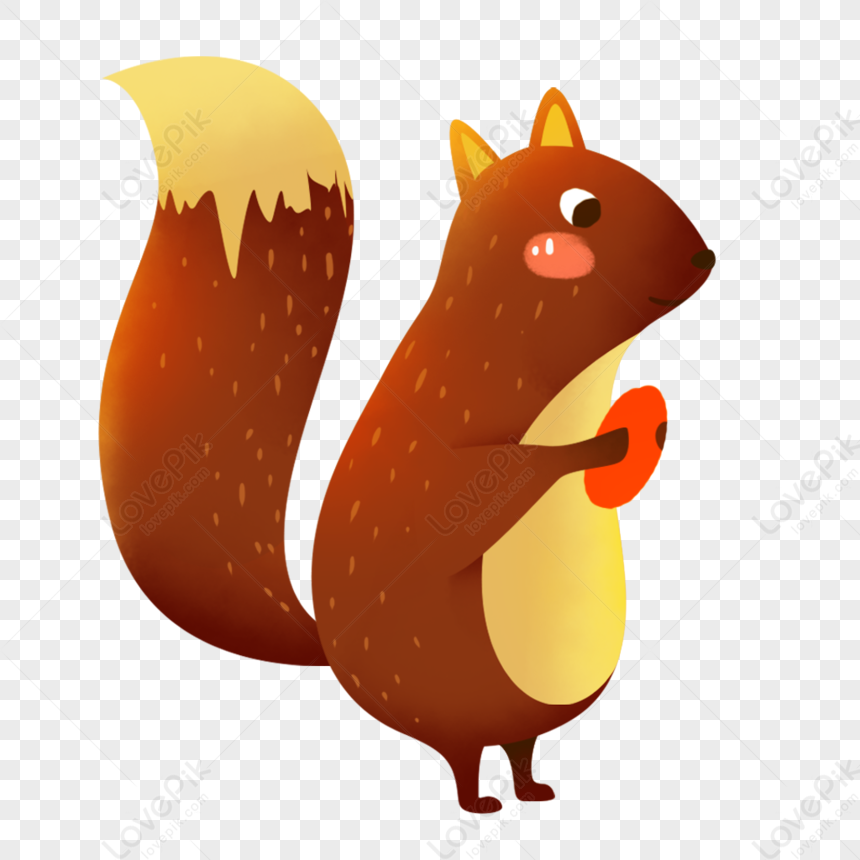Squirrel PNG Hd Transparent Image And Clipart Image For Free Download -  Lovepik | 401597754