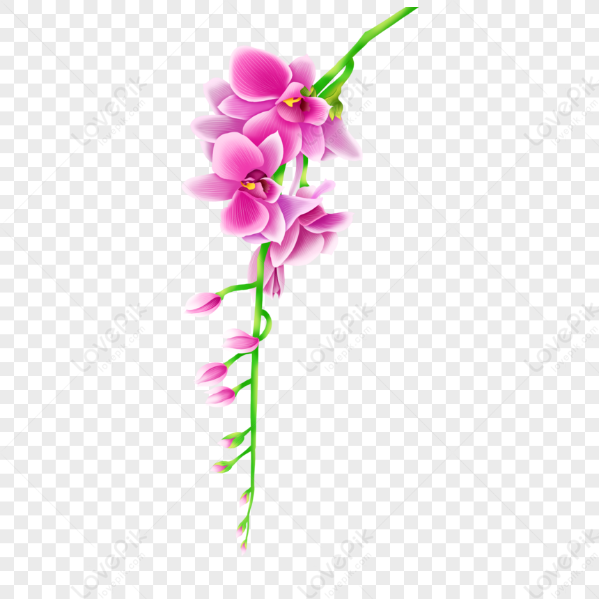  Flores Rosadas Frescas De Dibujos Animados PNG Imágenes Gratis
