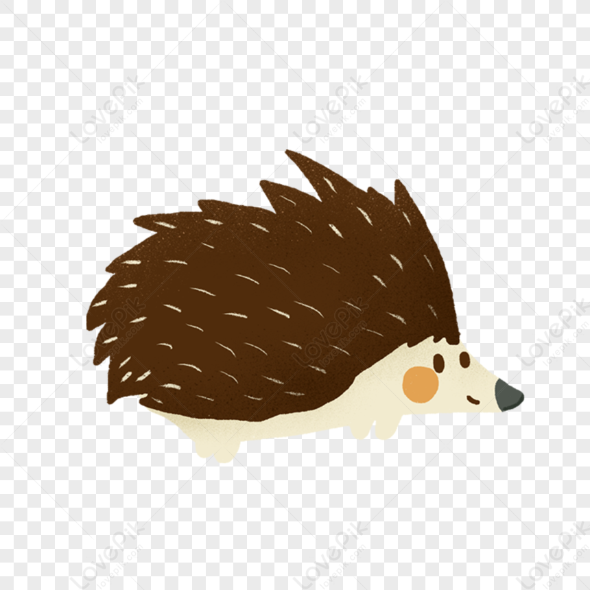 Shadow the hedgehog as an anime girl by hedgehogfairy224 on DeviantArt