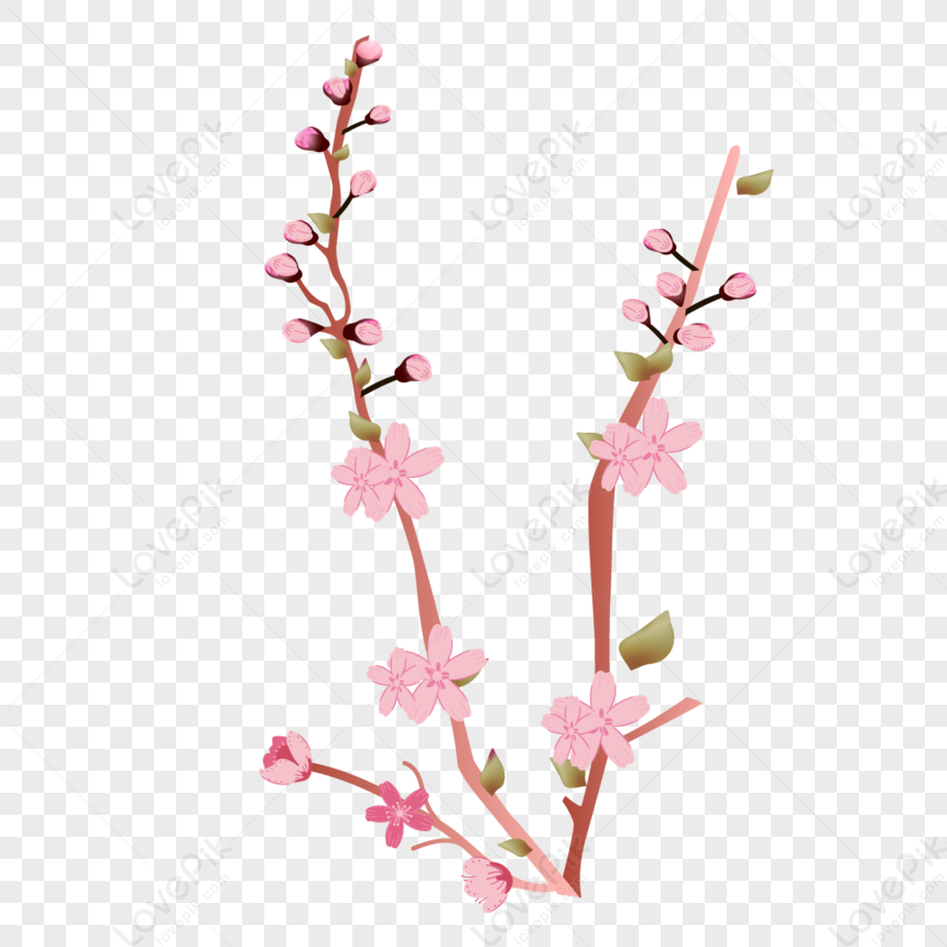 Flores De Cerezo De Primavera PNG Imágenes Gratis - Lovepik