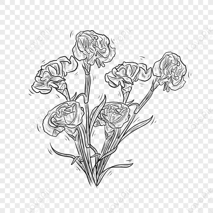Những hình ảnh hoa cẩm chướng đen trắng miễn phí trên Lovepik đầy đủ sự tinh tế và cổ điển. Bạn sẽ được chiêm ngưỡng những bức tranh với đường nét chắc chắn và màu sắc tươi sáng, giúp bạn tìm lại hồi ức về những ngày thầm kín.