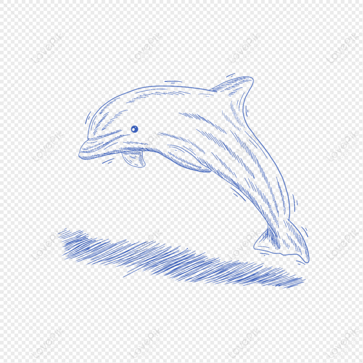 Dolphin Cartoon Cuteness PNG, Clipart, Animal, Animals, Animation, Anime,  Anime Character Free PNG Download