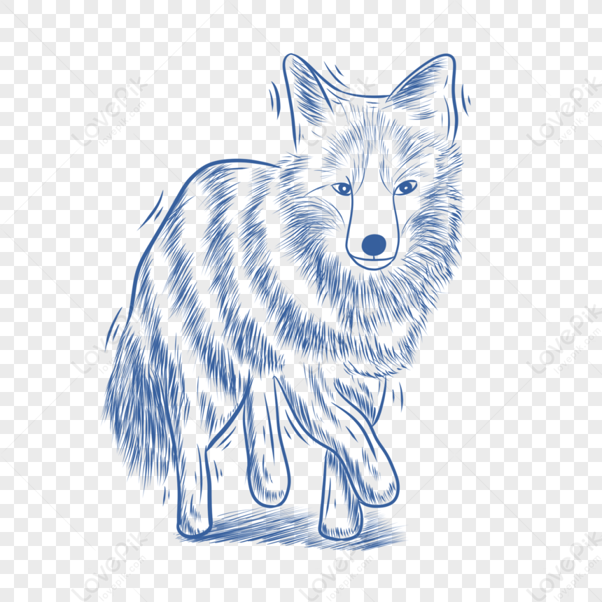 Blue Line Animal Stick Figure Fox PNG Transparent Background And ...