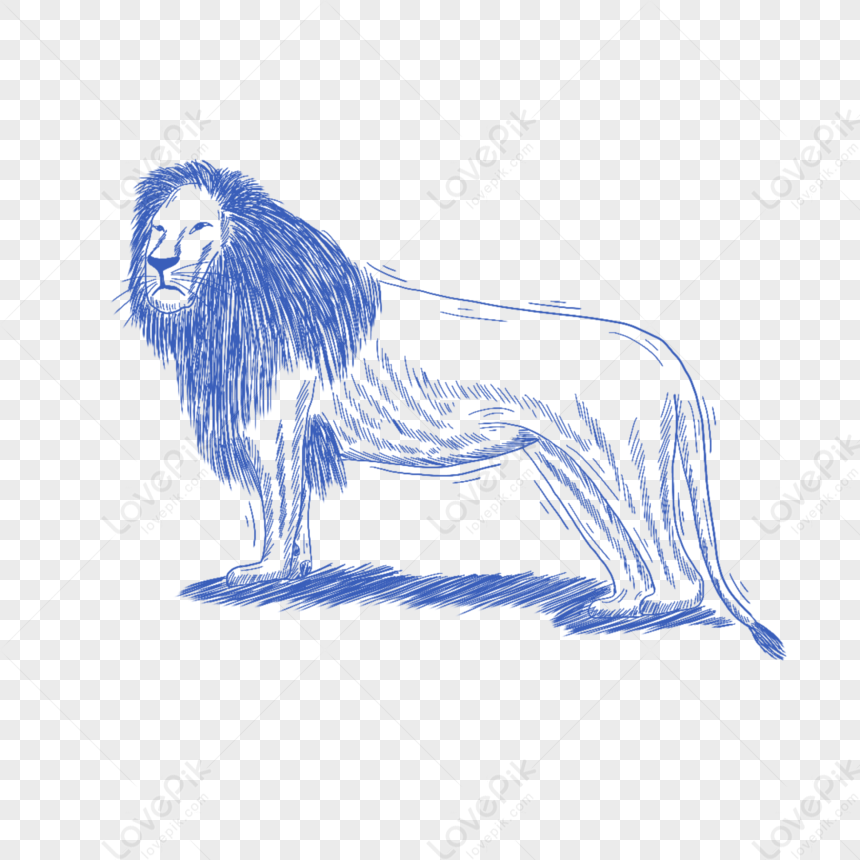 Blue Line Animal Stick Figure Lion PNG Transparent Image And Clipart ...