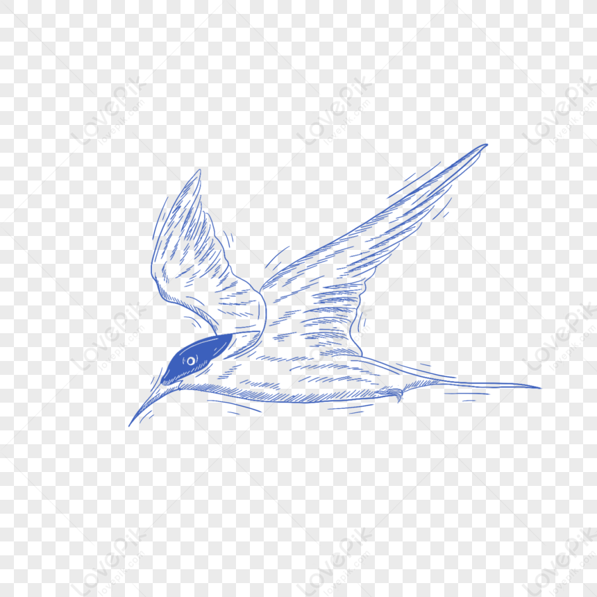 Blue Line Animal Stick Figure Petrel PNG Image And Clipart Image For ...