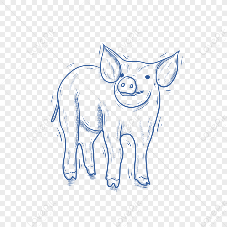 Blue Line Animal Stick Figure Pig PNG Transparent Background And Clipart  Image For Free Download - Lovepik | 401705580