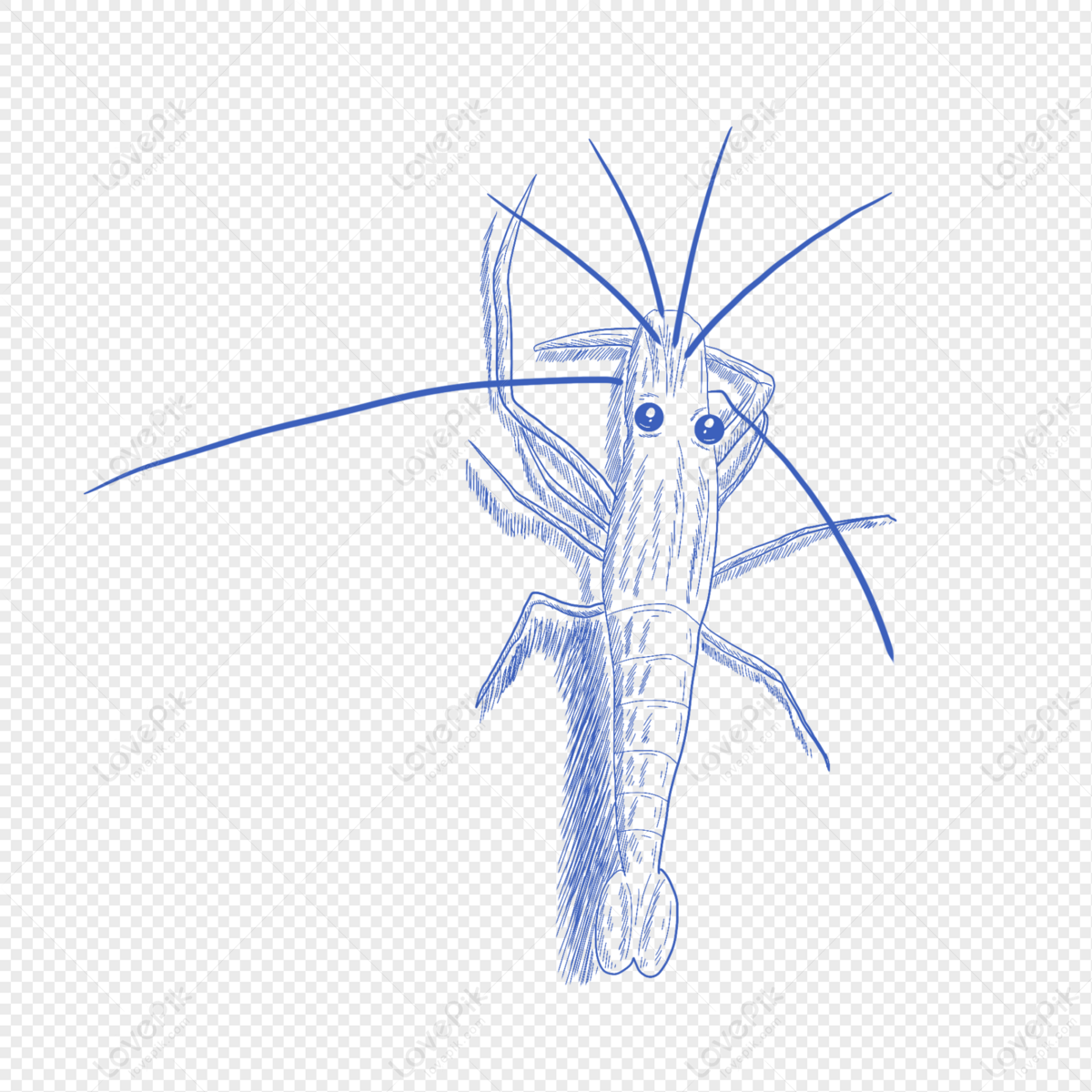 copepod clipart of flowers