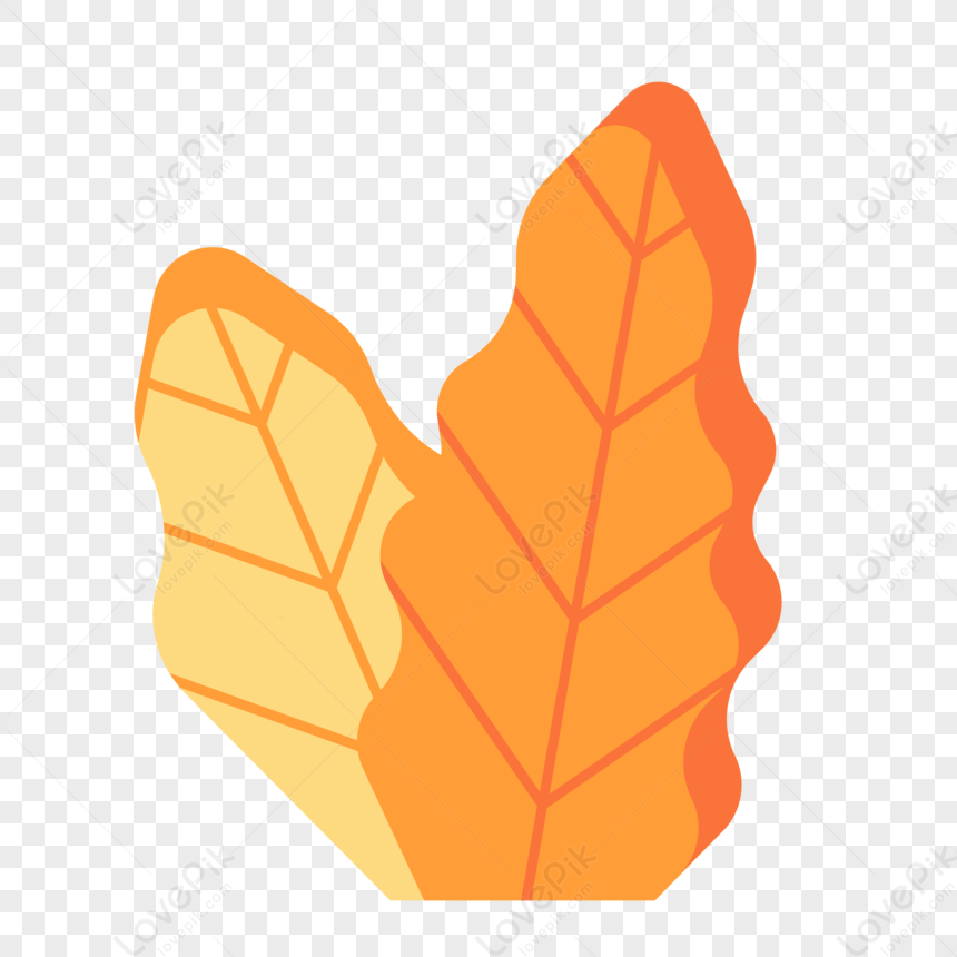 Branches And Leaves PNG Transparent Background And Clipart Image For ...