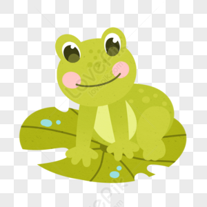 Hand Drawn Frog Png Images With Transparent Background 