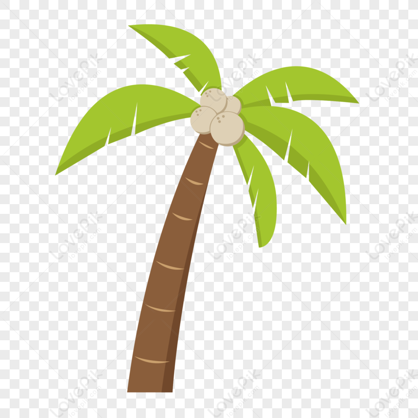 Coconut Tree PNG Picture And Clipart Image For Free Download - Lovepik ...