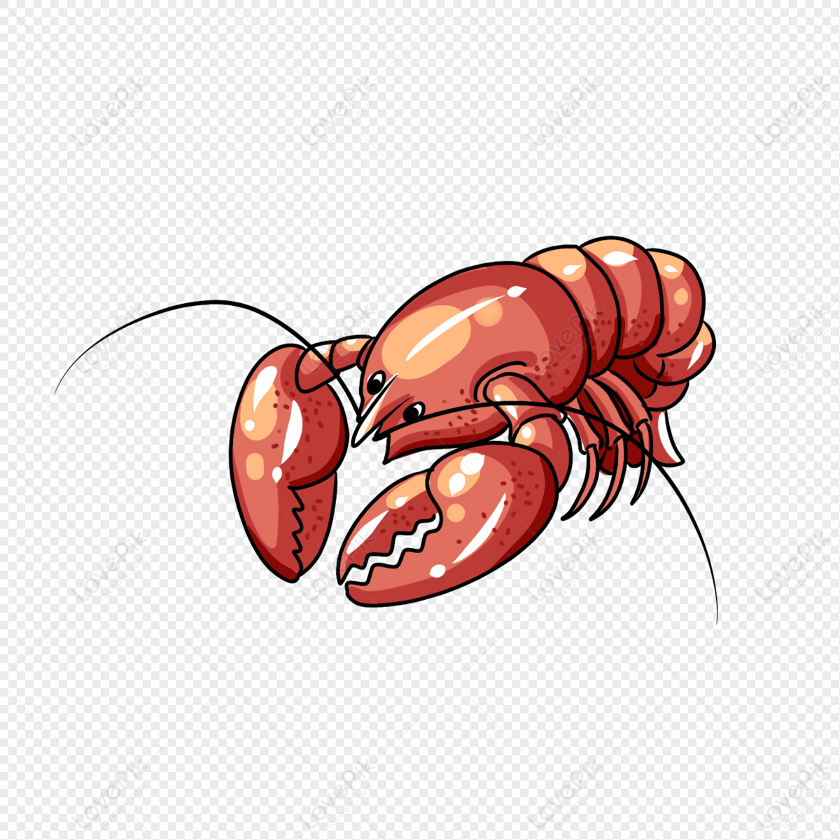 Crayfish PNG Hd Transparent Image And Clipart Image For Free Download -  Lovepik | 401740014
