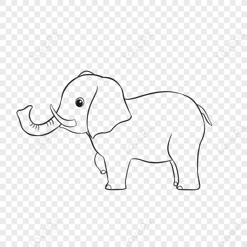 हाथी रेखा कला, हाथी ड्राइंग, वेक्टर हाथी, हाथी चित्र PNG चित्र और वेक्टर  मुफ्त डाउनलोड के लिए