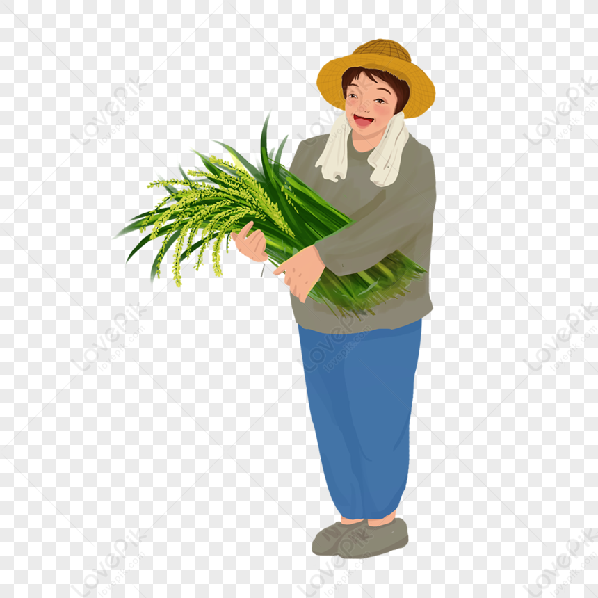 Farmer Holding Rice PNG Transparent And Clipart Image For Free Download -  Lovepik | 401719216