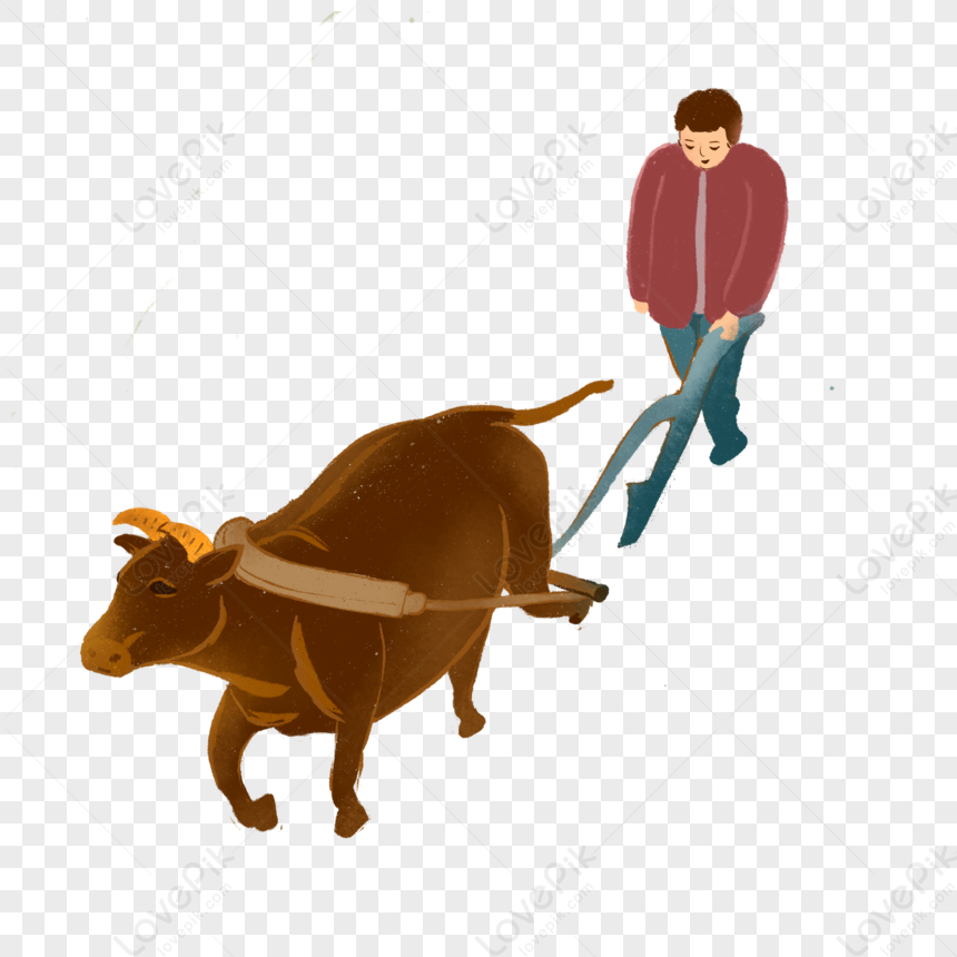 Farmers Driving Cattle To Cultivate Land PNG Picture And Clipart Image ...