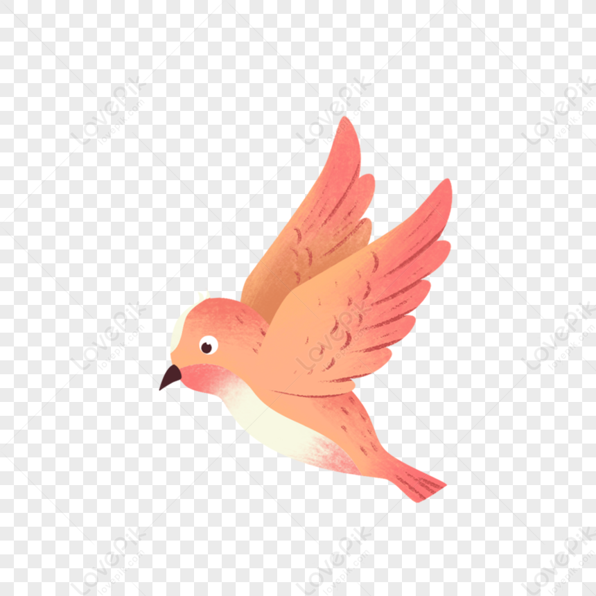 Flying Birds PNG Transparent Background, Free Download #3494 - FreeIconsPNG