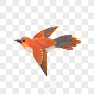 flying bird background