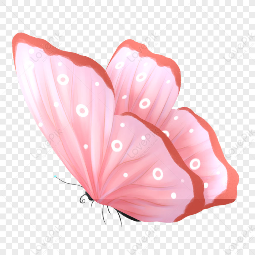 Flores Voladoras Y Mariposas PNG Imágenes Gratis - Lovepik