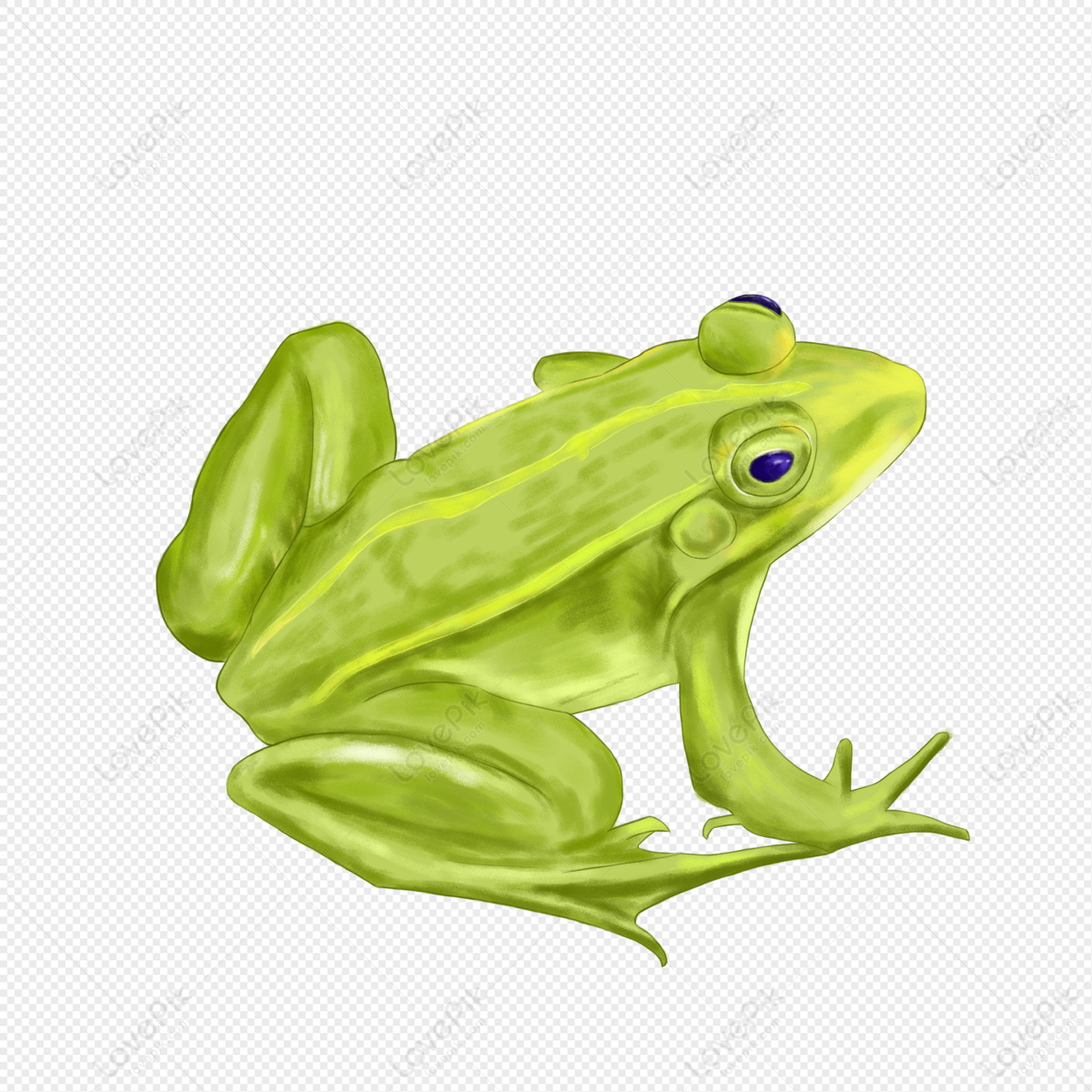 Cartoon frog with persimmons on its head, Cute frog, frogs, clown frog  king, lovely digital painting - SeaArt AI