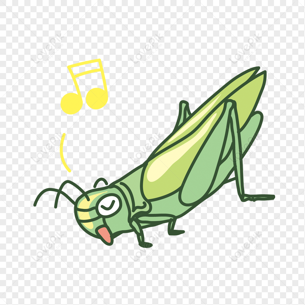 Grasshopper In Early Summer PNG Transparent And Clipart Image For Free  Download - Lovepik | 401724276