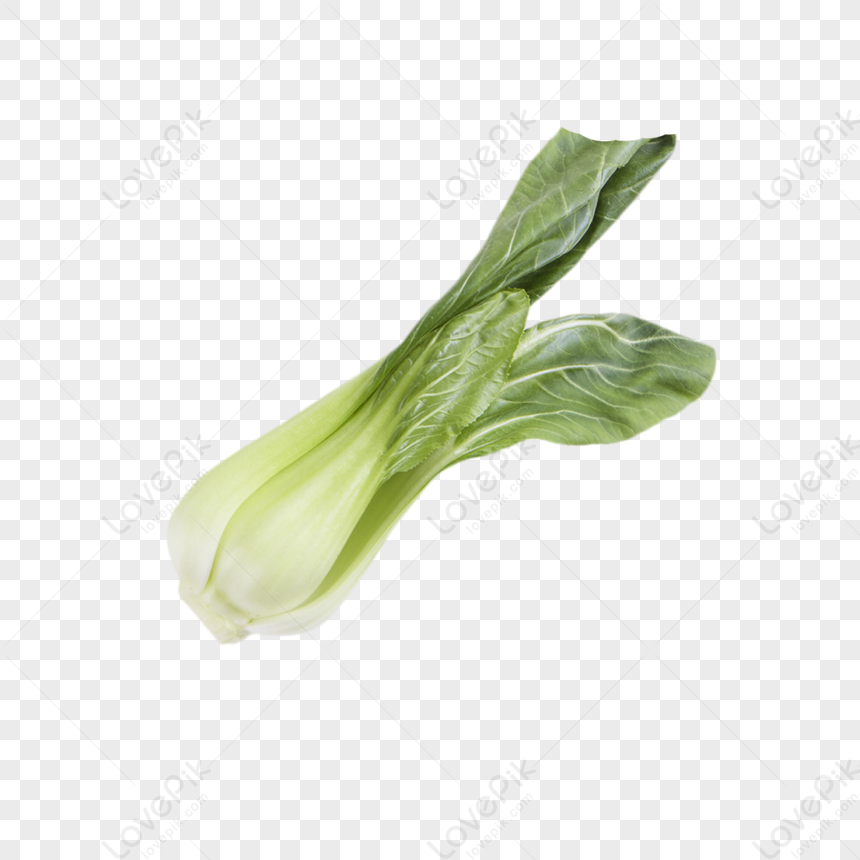 Green Food Rapeseed Bok Choy Pak Choi Snap Inc Png Picture And