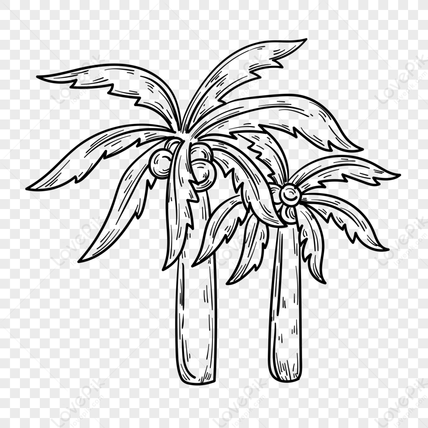 Pin by Zainab Hussain on to draw | Palm tree clip art, Palm tree drawing, Coconut  tree drawing