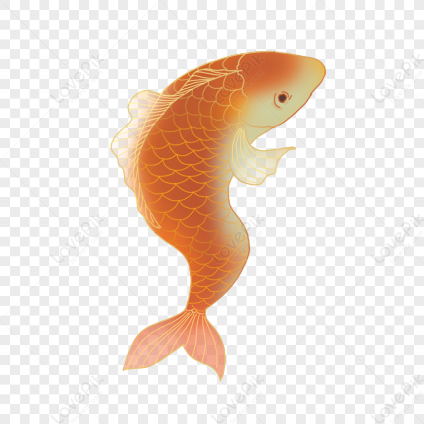 Koi Png Hd Transparent Image And Clipart Image For Free Download 