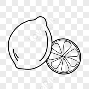 lemon line art