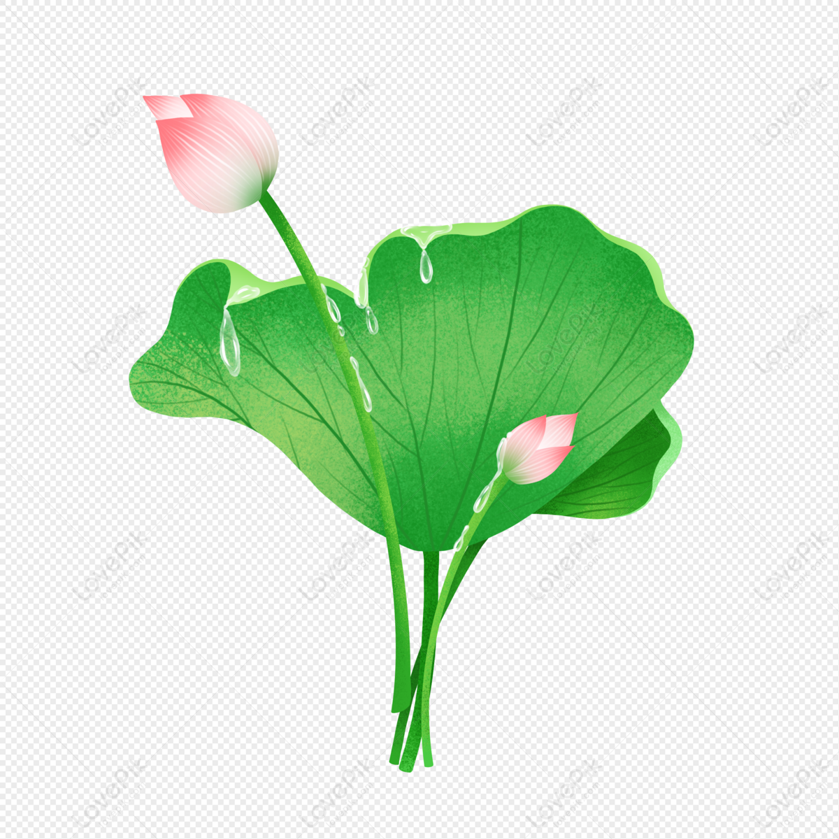 Lotus Leaf, Hand Painting, Plant, Lotus Leaf PNG Transparent Background ...