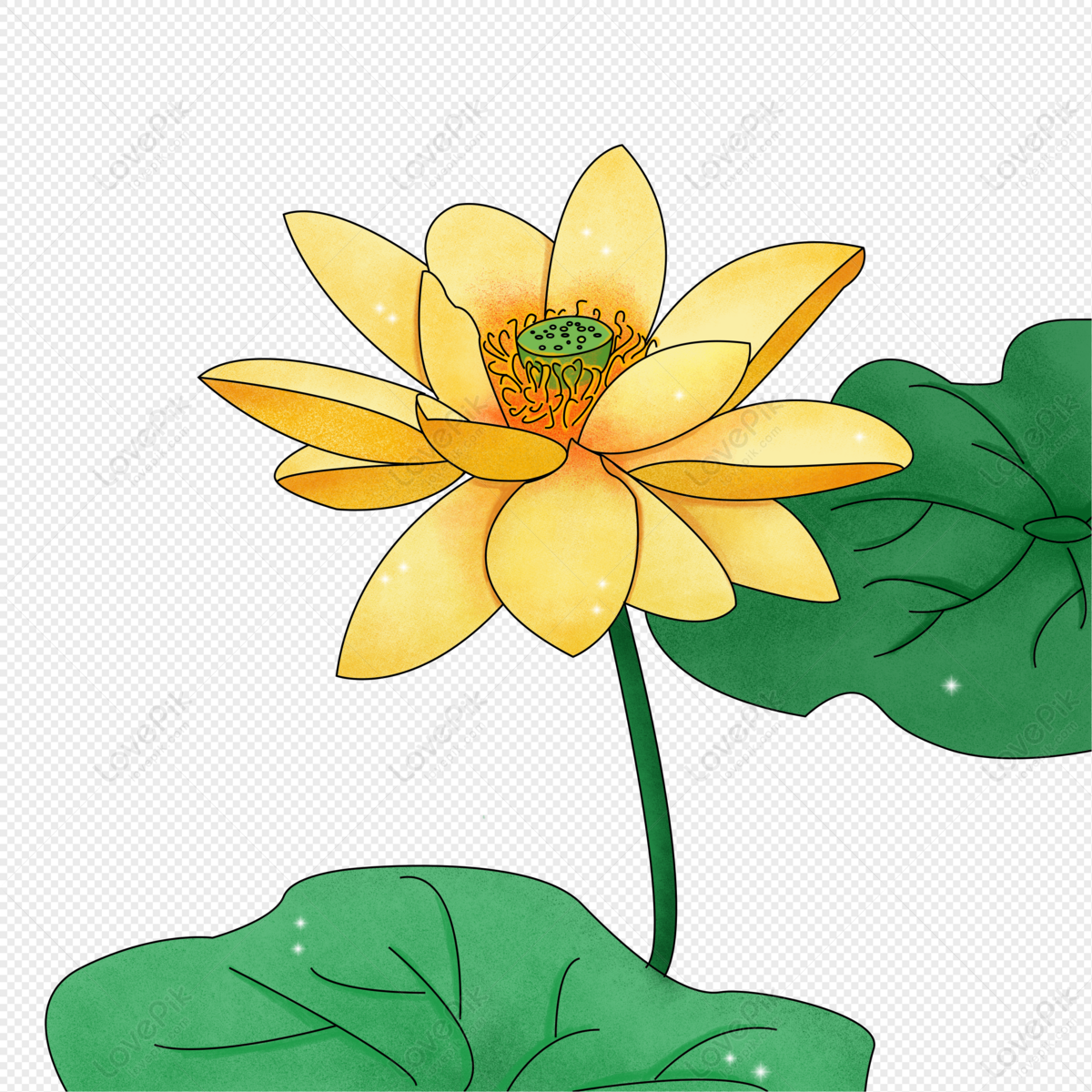 lotus-petals-decoration-elements-image-png-transparent-image-and