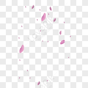 Sakura Petals PNG Images With Transparent Background | Free Download On ...