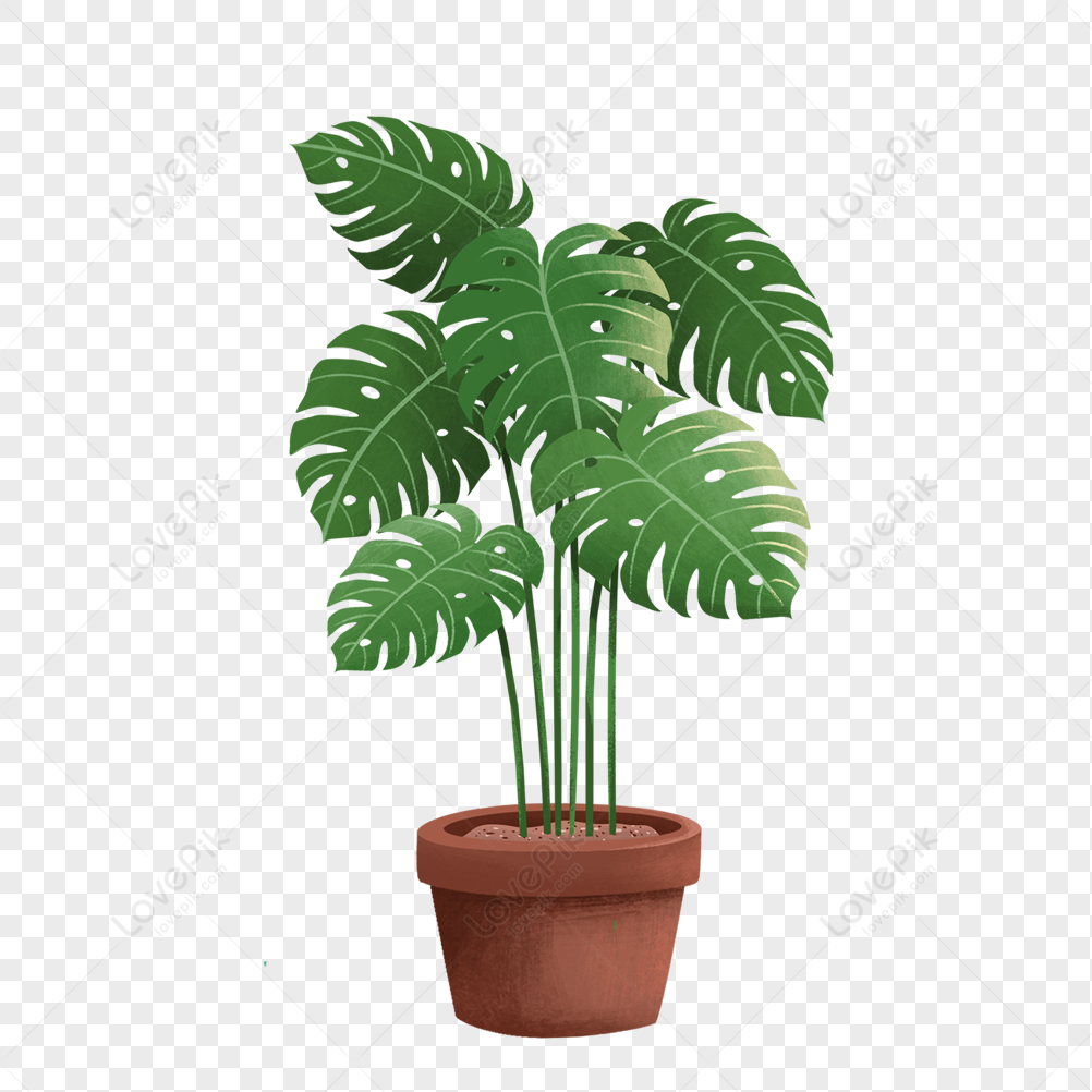 Potted Plants PNG Free Download And Clipart Image For Free Download ...