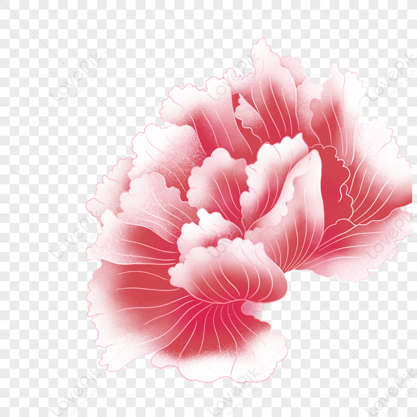 Flores Rojas PNG Imágenes Gratis - Lovepik