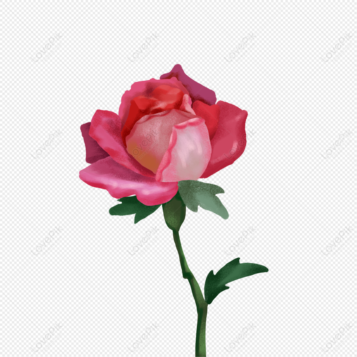 Rose, Summer, Tags, Flower PNG Image Free Download And Clipart Image ...