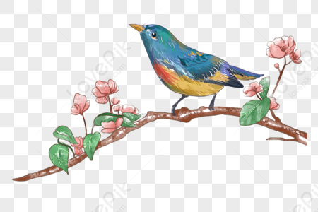 Flowers And Birds PNG Images With Transparent Background | Free Download On  Lovepik