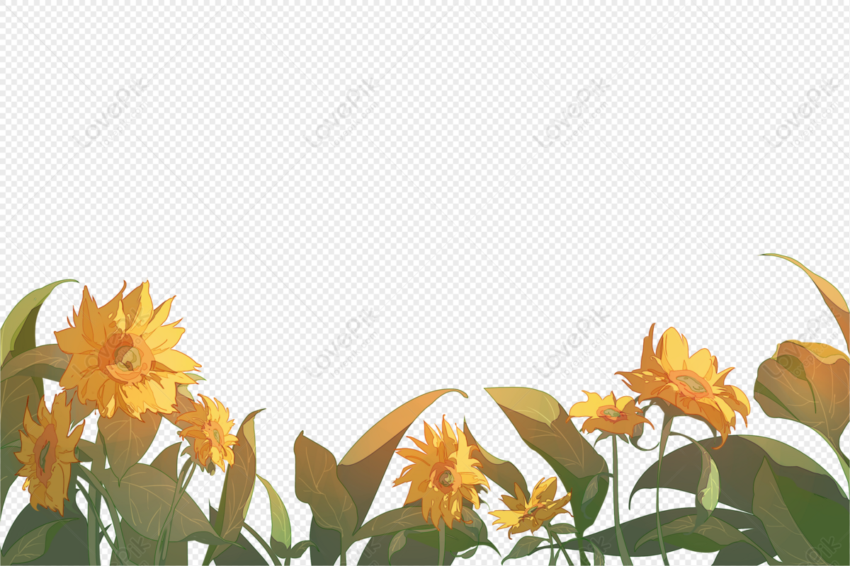 Sunflower Clipart Hd PNG, Sunflower, Sunflower Clipart, Plants Zombies PNG  Image For Free Download