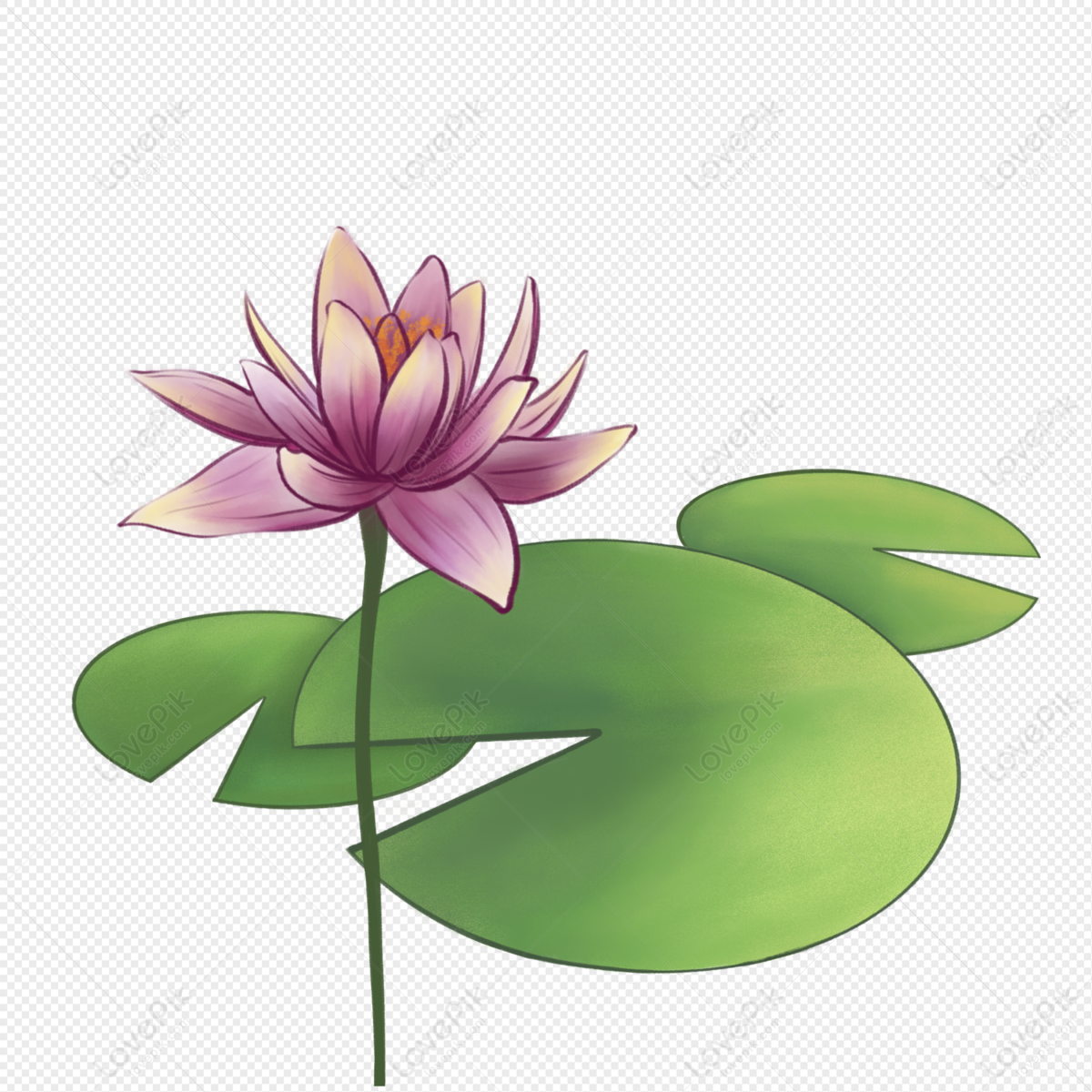 How to draw water lily step by step ( very easy)how to draw a water lily  pad - YouTube