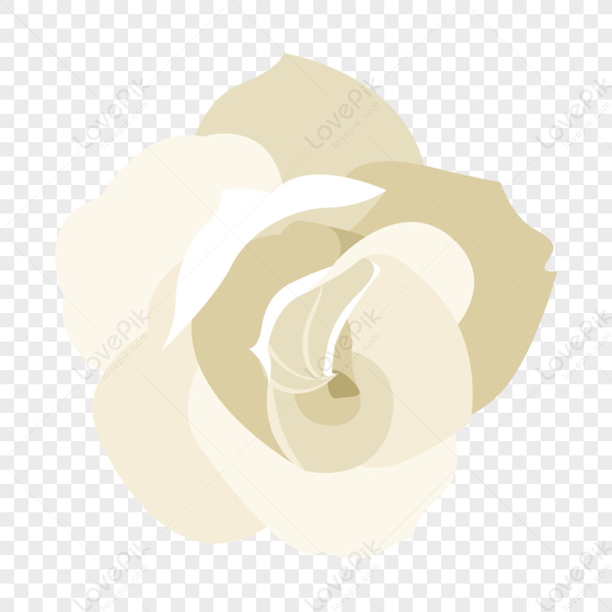 Flores Blancas PNG Imágenes Gratis - Lovepik