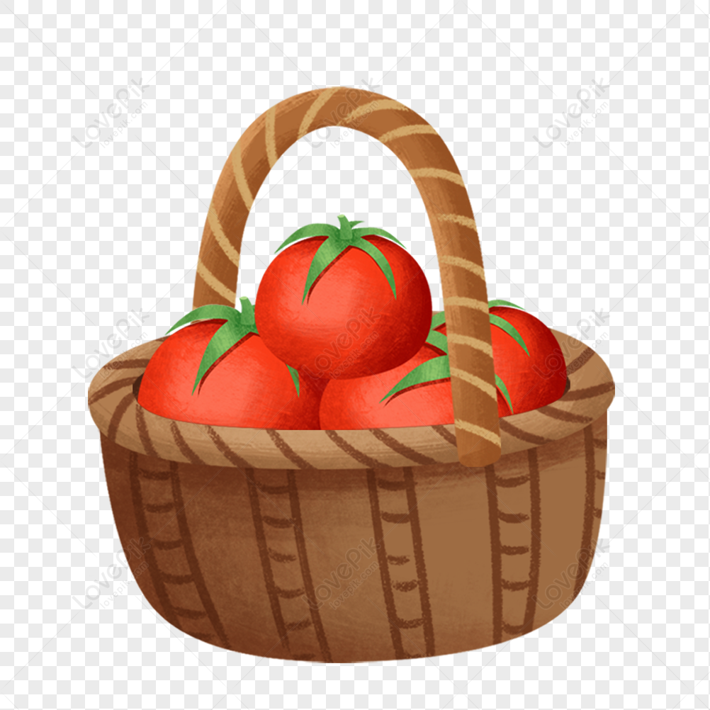 A Basket Of Tomatoes PNG Picture And Clipart Image For Free Download ...