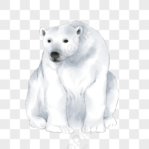 Arctic Animal Cartoon Images, HD Pictures For Free Vectors & PSD ...