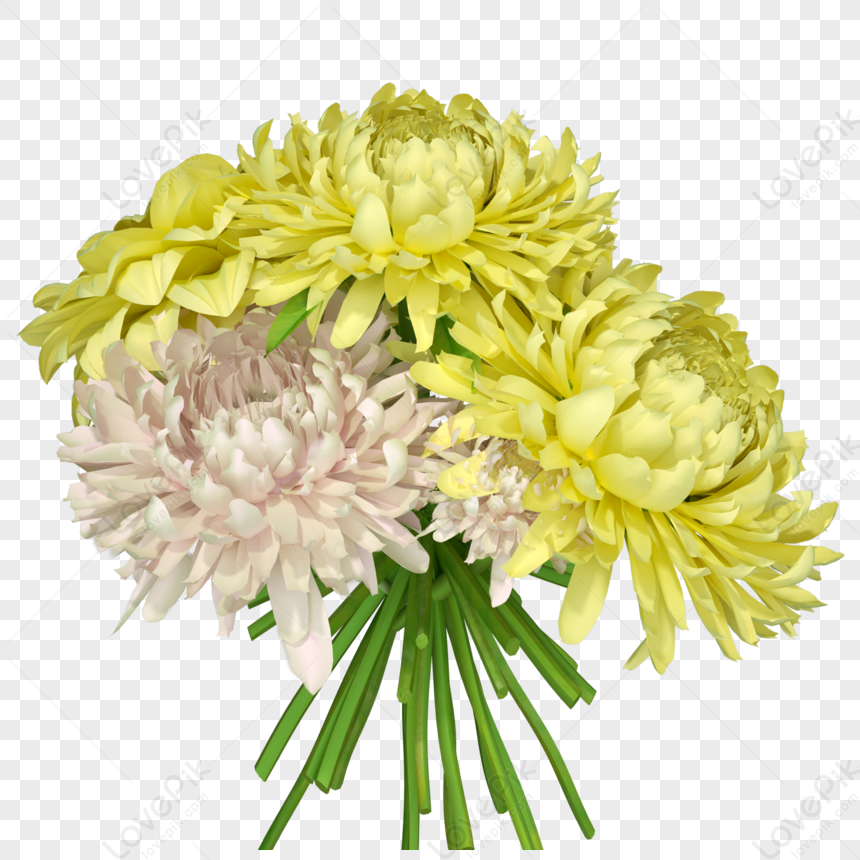 Crisantemo De Flores De Otoño PNG Imágenes Gratis - Lovepik